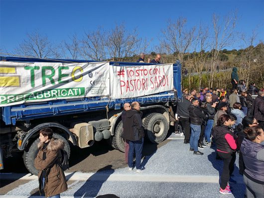 Protesta dei pastori per il prezzo del latte al bivio per Sologo (foto Dessena)
