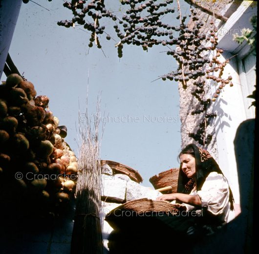 Marianne Sin-Pfältzer, Oliena, anni Cinquanta (© Ilisso Edizioni/Archivio Sin-Pfältzer)