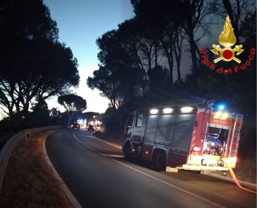 Nuoro. Incendio alla pineta di Ugolio