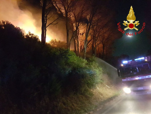 Nuoro. Incendio alla pineta di Ugolio