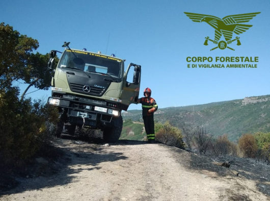 Un mezzo antincendio della-Forestale