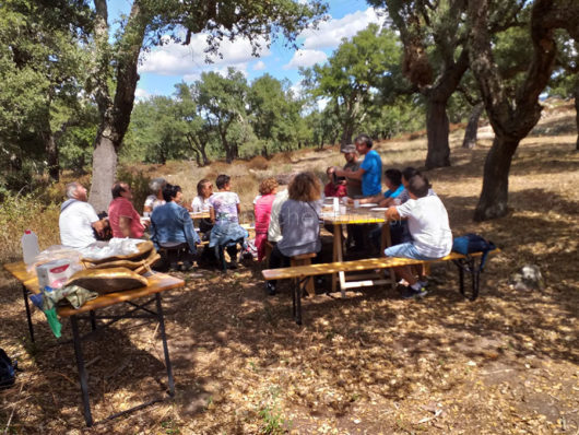 L'area picnic nel sito archeologico di Noddule