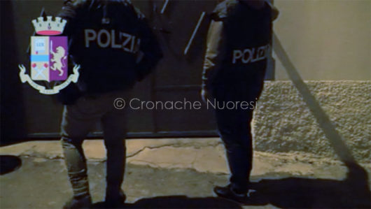 Un momento dell'arresto