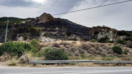 Le campagne di Bosa dopo l'incendio (foto Piergavino Vacca)