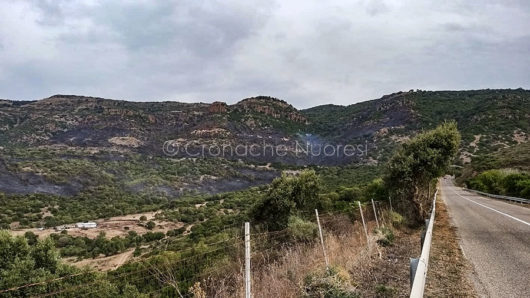 Le campagne di Bosa dopo l'incendio (foto Piergavino Vacca).