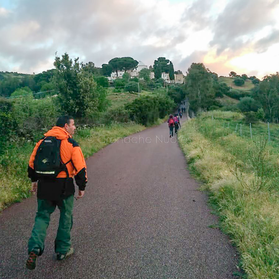 San Francesco di Lula