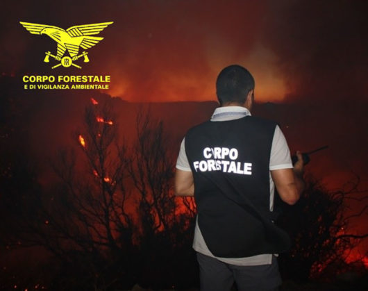 Un agente del Copro forestale regionale