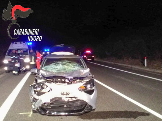 L'auto distrutta dopo l'impatto con l'animale 