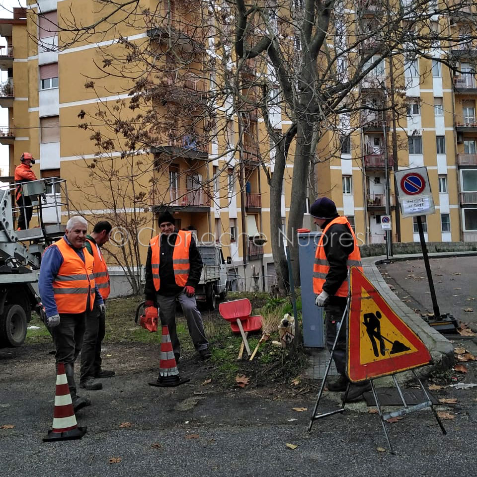 Intervento di potatura in via Marche