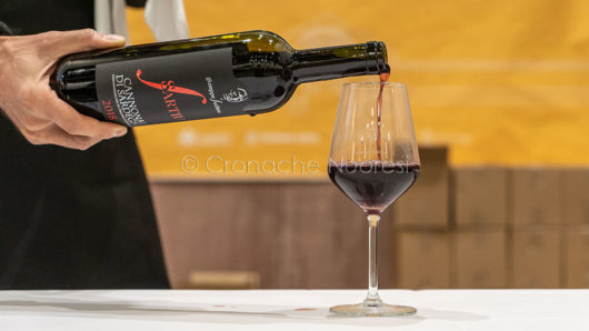 L'Isola buona e la terra dei tesori - i vini (foto S.Novellu)