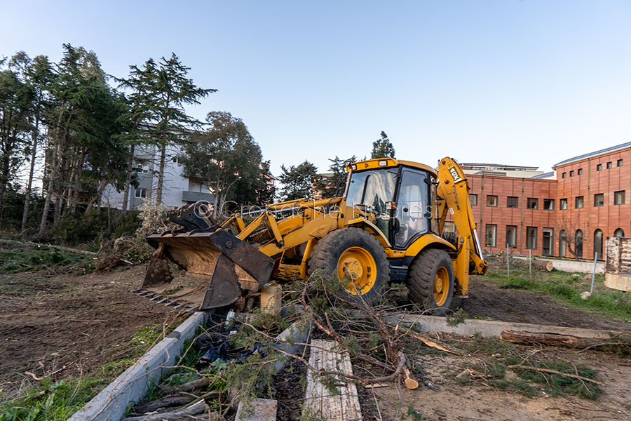 Nuoro, lavori di disboscamento nel parco dell'AREUS (foto S.Novellu)