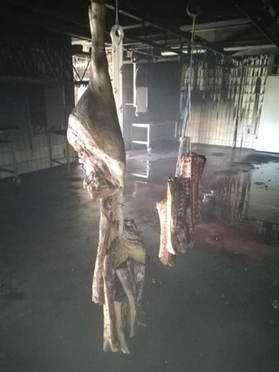 Carni danneggiate dal fumo da Milia a Bortigali