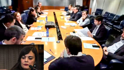 Il Consiglio dei Ministri di stanotte e Elvira Lucia Evangelista