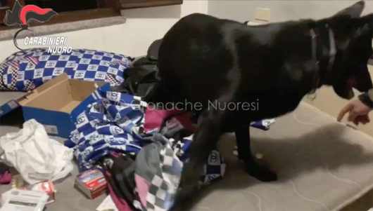 Operazione antidroga tra il Nuorese e la Baronia