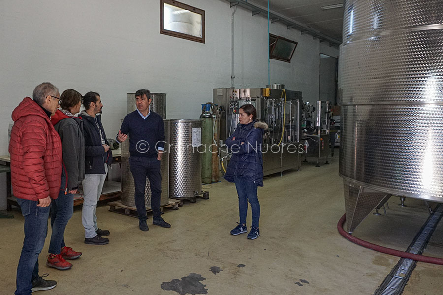 Percorsi enogastronomici lungo la Nuoro-Siniscola (foto S.Meloni)