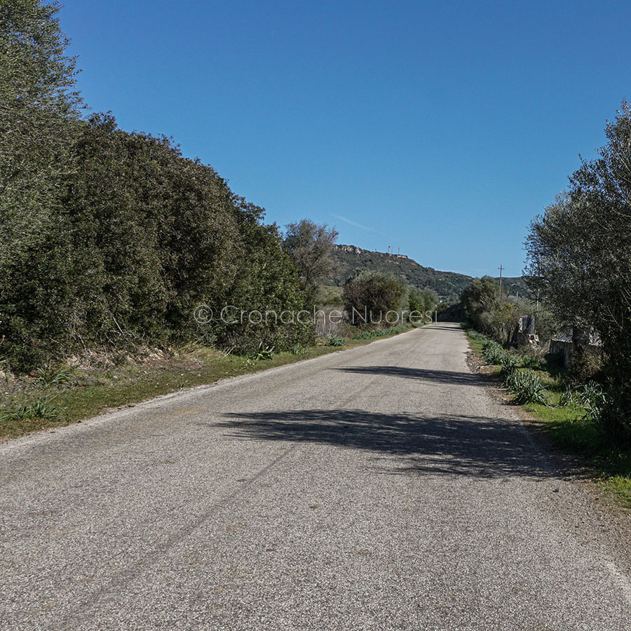 Un tratto della nuova pista ciclabile lungo la Nuoro-Siniscola (foto S.Meloni)