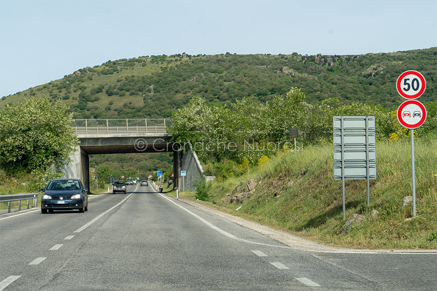 Uno scorcio della Statale 129 (foto S.Novellu)