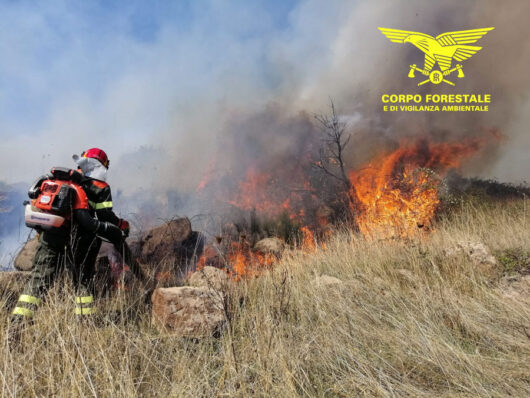 Il Corpo forestale impegnato nell'incendio di ogg