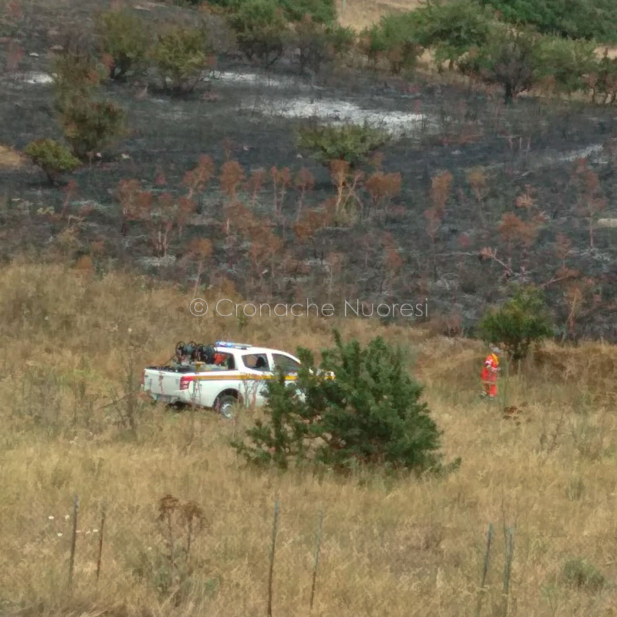 La Protezione Civile in campo nelle operazioni di spegnimento