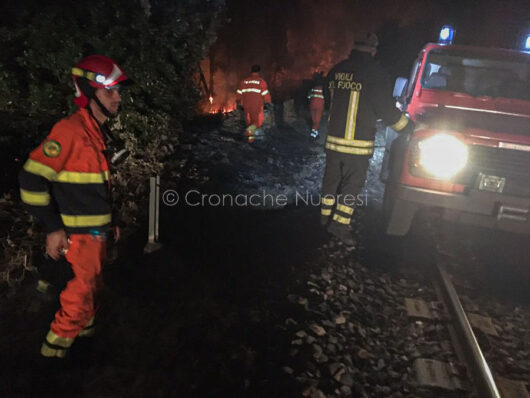 Le forze antincendio in azione alla pineta di Ugolio