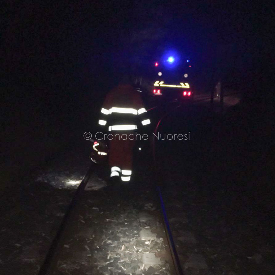 Le forze antincendio in azione alla pineta di Ugolio
