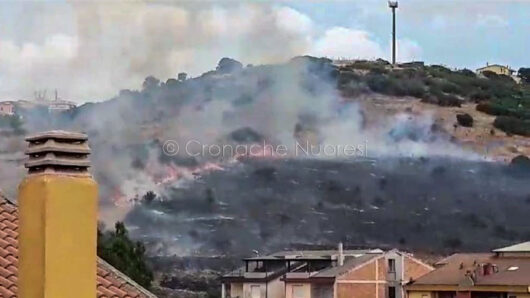 'incendio alle porte della città (foto Cronache Nuoresi)
