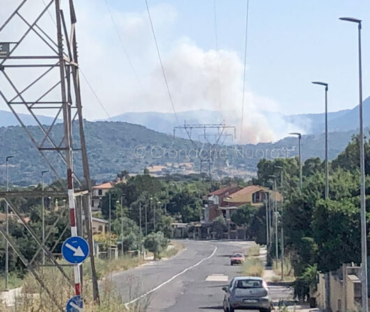 L'incendio visto da città giardino