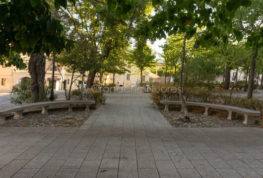 Nuoro, giardino della Cattedrale in abbandono (foto S.Novellu)