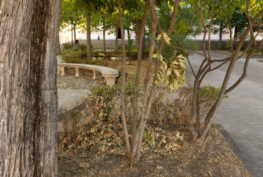 Nuoro, giardino della Cattedrale in abbandono (foto Cronache Nuoresi)