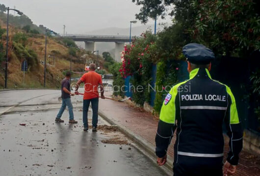Le operazioni di sgombero della frana in viale Sardegna (foto Cronache Nuoresi)