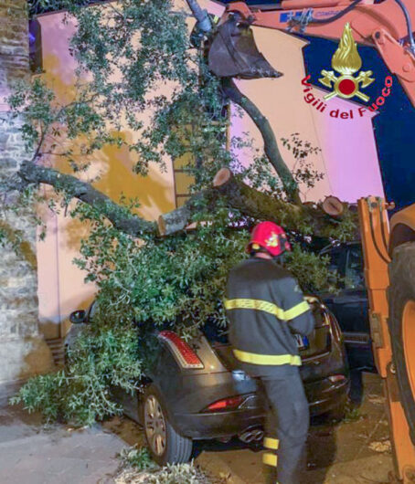 Un albero sradicato dal vento a Nuoro