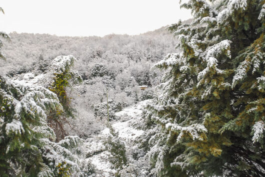 Neve a Tonara (foto Bastiano Loche)
