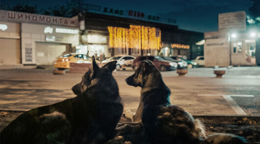 Un frame del film vincitore