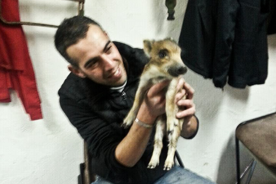 Caccia grossa: ancora una vittima dei pallettoni