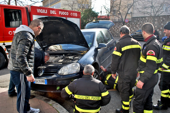 Gattino freddoloso salvato dai Vigili del fuoco