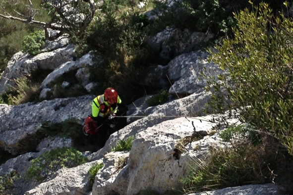 Monte Albo: due cani da caccia precipitano in un canalone