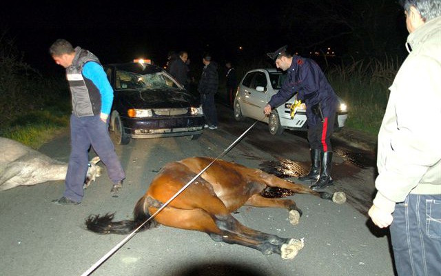 Ragazza di Austis perde la vita in un incidente