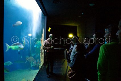Acquario Cala Gonone – Coltivando la sostenibilità tra ostriche