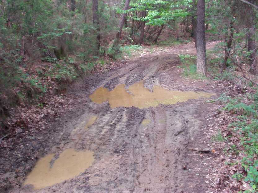 Nuoro: sarà rifatta la strada interpoderale "Intramontes"