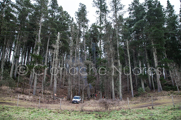Sit in di protesta degli operai forestali: 25 anni di precariato