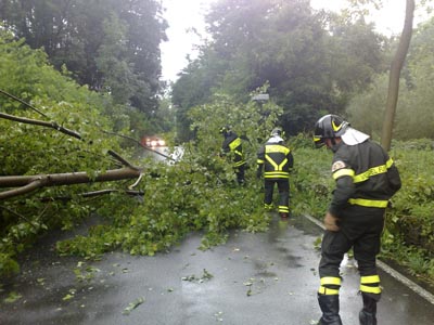 Il vento sradica un albero che cade sulla carreggiata: chiusa al traffico la 131 DCN al bivio di Oniferi