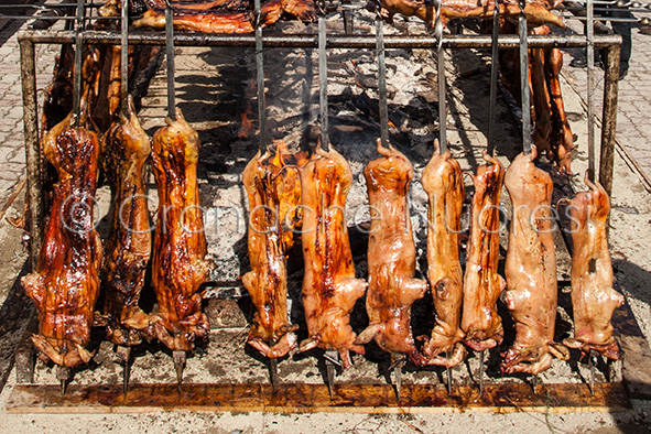Fiera Macomer. Falchi: Agnello IGP all'Expo, punta di diamante delle carni sarde