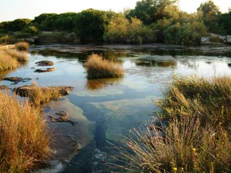 Ambiente. Sardegna capofila nella tutela e valorizzazione delle zone umide