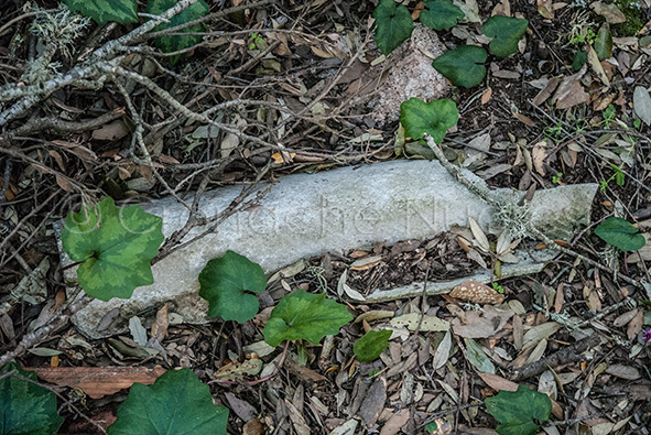 Monte Ortobene: a spasso tra natura meravigliosa, rifiuti ed eternit