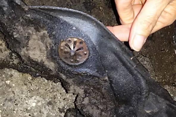 Raid incendiario a Desulo: distrutte tre auto di attiviste pro sindaco