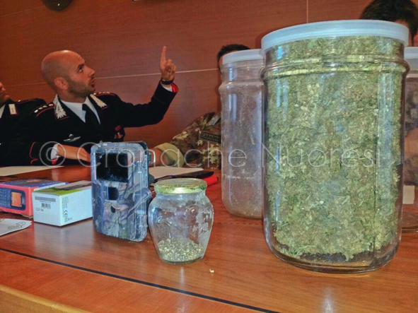 Escolca: scoperti in un nascondiglio sotterraneo 40 vasi di marijuana e 200 grammi di hashish