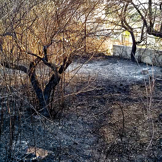 Le fiamme minacciano l'abitato di Galtellì. Decine di ettari in cenere