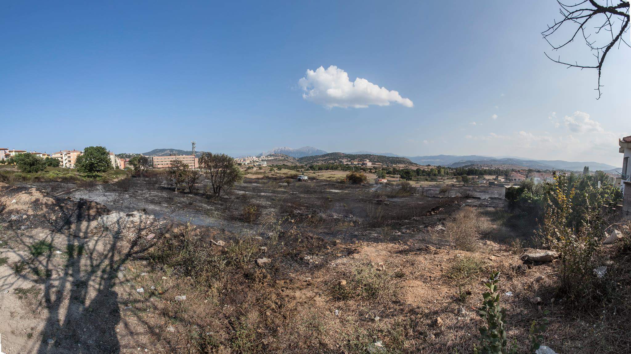 All'origine dell'incendio a Città Giardino le sterpaglie dell'ex vivaio
