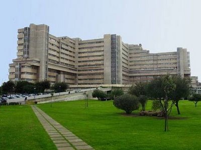 Disoccupato per colpa dell'accorpamento dell'Oncologico e Microcitemico all'azienda Brotzu