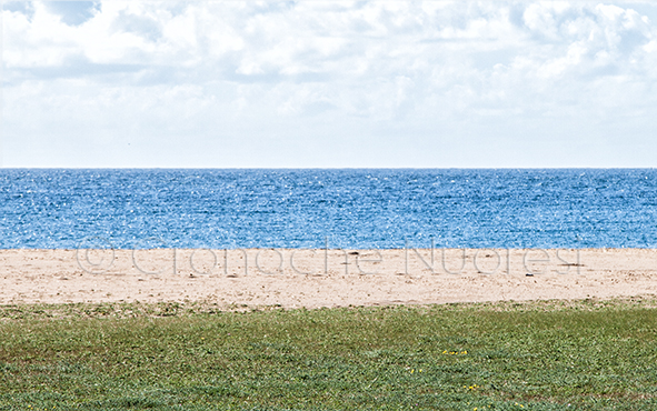 Trivelle: Bosa si mobilita contro la ricerca di idrocarburi nei nostri mari